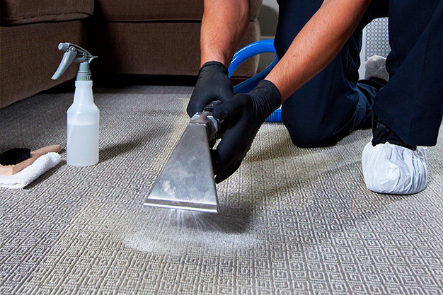 Upholstery Cleaning Services